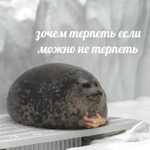 Sticker Стикеры ➡️ @Stick4uBot - 3