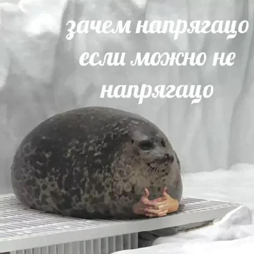 Sticker Стикеры ➡️ @Stick4uBot - 1