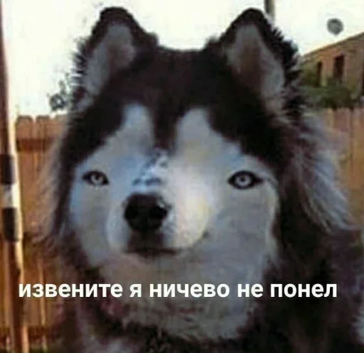 Стикер Стикеры ➡️ @Stick4uBot - 4