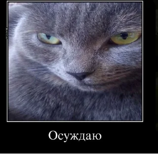 Стикер Создано в @sozdat_stikery_bot - 11