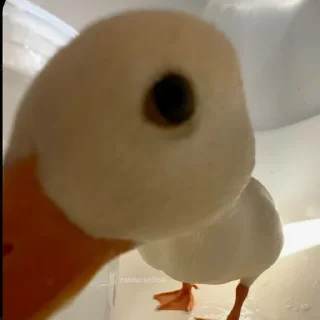 Стикер Создано в @sozdat_stikery_bot - 0