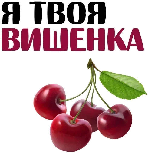 Sticker pack6863_by_Stickersneewbot - 1