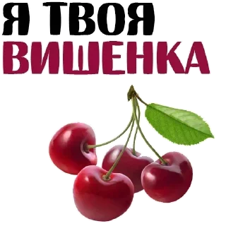 Sticker Стикеры ➡️ @Stickersneewbot - 11