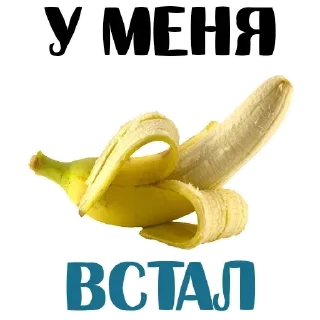 Sticker Стикеры ➡️ @Stickersneewbot - 5