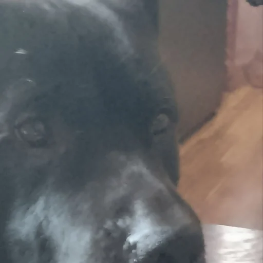 Sticker pack69229306600021_by_sozdat_stikery_bot - 1