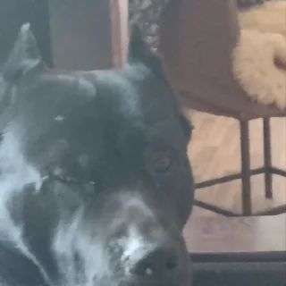 Sticker Создано в @sozdat_stikery_bot - 2