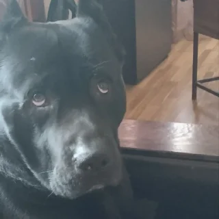 Sticker Создано в @sozdat_stikery_bot - 1