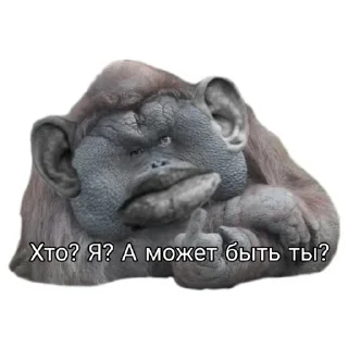 Стикер Стикеры ➡️ @DuoSticker_bot - 7