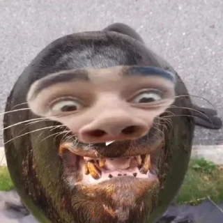 Стикер Создано в @sozdat_stikery_bot - 2