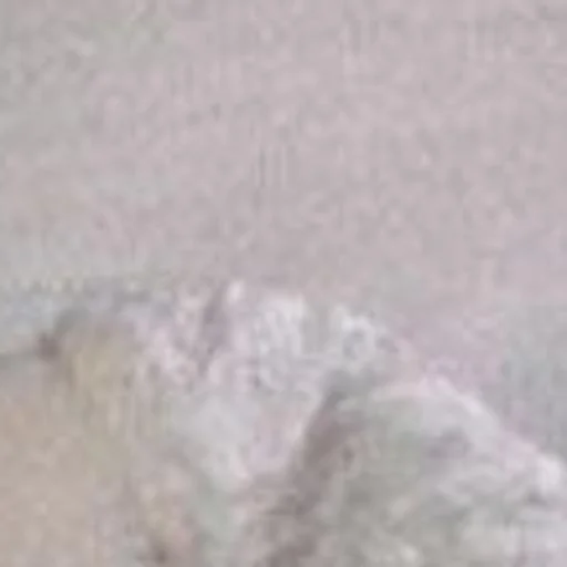 Sticker pack7536777_by_katalog_stik_bot - 1