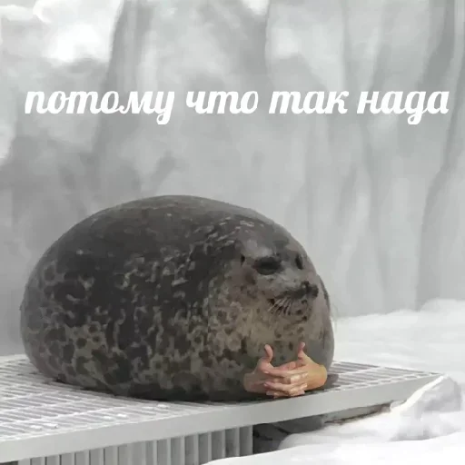 Sticker pack771_by_DuoSticker_bot - 1