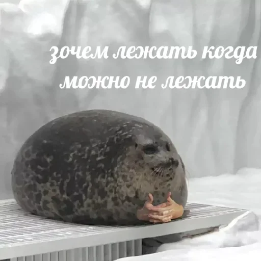 Sticker pack771_by_DuoSticker_bot - 1