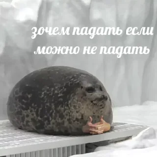 Sticker Стикеры ➡️ @DuoSticker_bot - 4