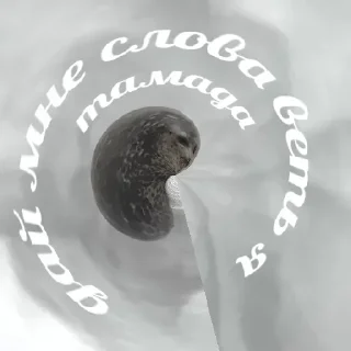 Sticker Стикеры ➡️ @DuoSticker_bot - 5