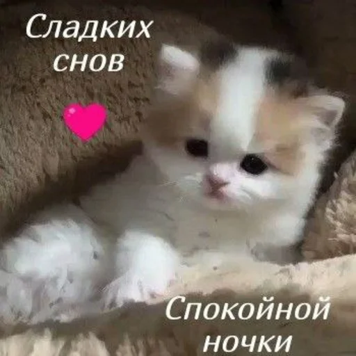 Создано в @sozdat_stikery_bot - 