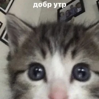 Sticker Создано в @sozdat_stikery_bot - 2