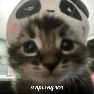 Sticker Создано в @sozdat_stikery_bot - 3