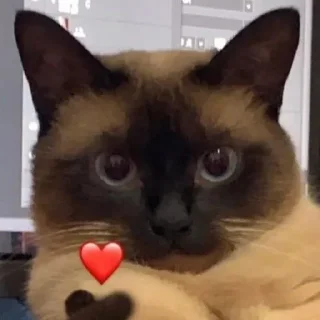 Sticker Создано в @sozdat_stikery_bot - 5