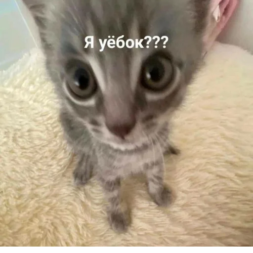 Sticker pack848812462299866_by_sozdat_stikery_bot - 1