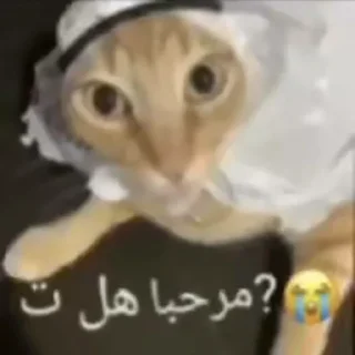 Sticker Создано в @sozdat_stikery_bot - 4