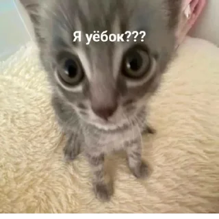 Sticker Создано в @sozdat_stikery_bot - 10