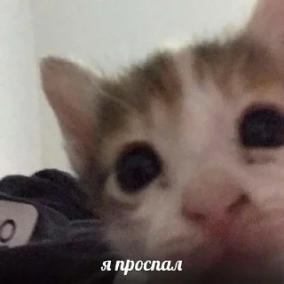 Sticker Создано в @sozdat_stikery_bot - 8