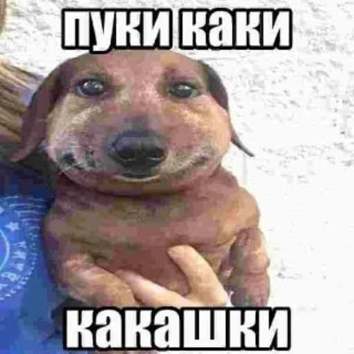 Стикер pack894796970341765_by_stikery_robot - 1