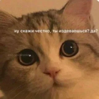 Стикер Создано в @sozdat_stikery_bot - 2