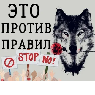 Sticker @obshchalka_8 :: @stikery_robot - 6