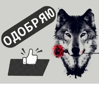 Sticker @obshchalka_8 :: @stikery_robot - 2