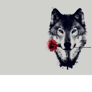 Sticker @obshchalka_8 :: @stikery_robot - 0