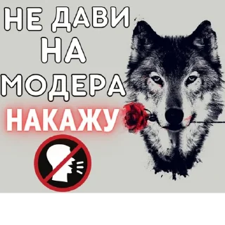 Sticker @obshchalka_8 :: @stikery_robot - 5