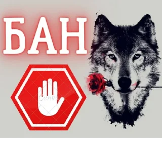 Sticker @obshchalka_8 :: @stikery_robot - 4