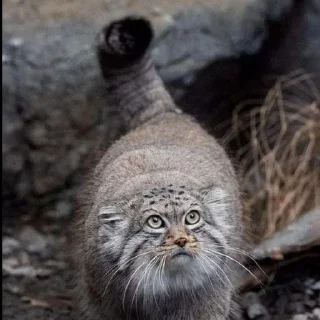 Sticker Создано в @sozdat_stikery_bot - 9