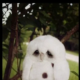 Sticker Создано в @sozdat_stikery_bot - 7