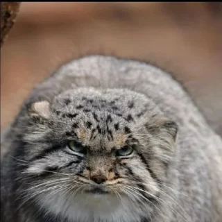 Sticker Создано в @sozdat_stikery_bot - 11