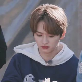 Стикер StrayKids - 8