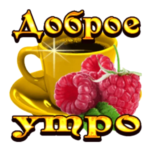 фрукт пища ягода