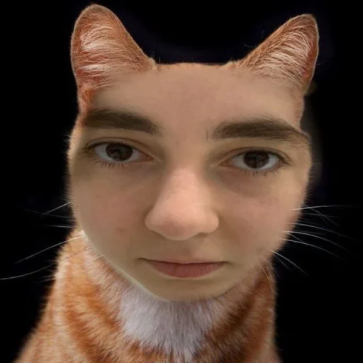 хммм @Ctikerubot - 