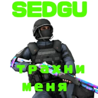 Sticker SEDGU PACK - @SedGuOff @Ctikerubot - 8
