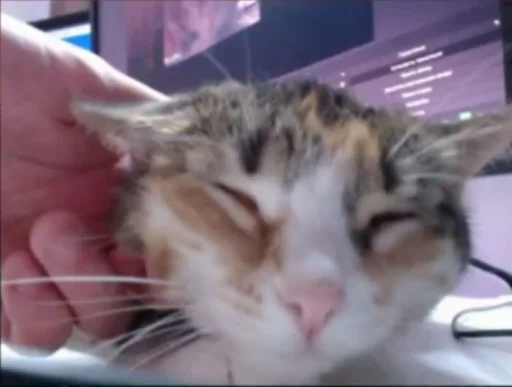 Sticker pack_207413_by_Ctikerubot - 1