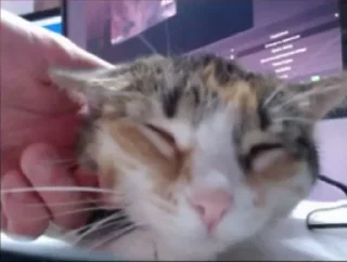 Sticker Илья 😎 @Ctikerubot - 0