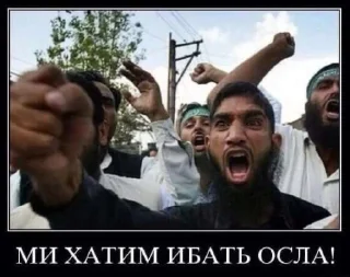 Sticker гигаТимоша @Ctikerubot - 3