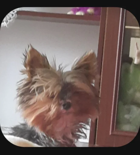 Sticker pack_236897_by_Ctikerubot - 1