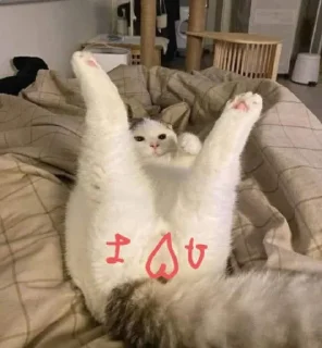 Sticker Рип @Ctikerubot - 2