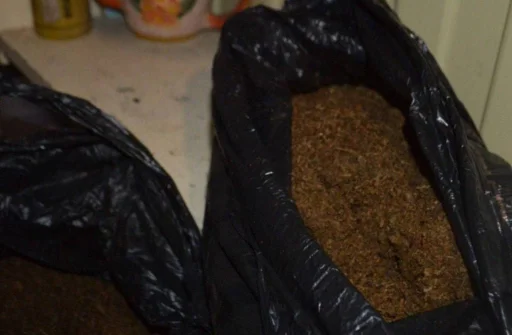 Sticker pack_256291_by_Ctikerubot - 1