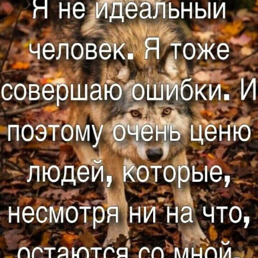 Sticker pack_256291_by_Ctikerubot - 1