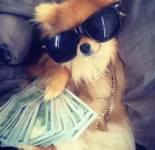 Стикер Гремучий @Ctikerubot - 4