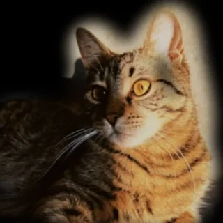 Sticker Anna Trincher ❤️ @Ctikerubot - 6