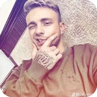 Стикер 🤭 @TgEmodziBot - 8